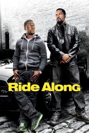 Ride Along (2014) Hindi Dual Audio [890MB]