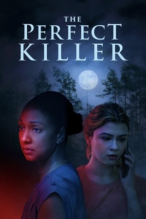 The Perfect Killer (2025) Hindi (MULTI AUDIO) – –