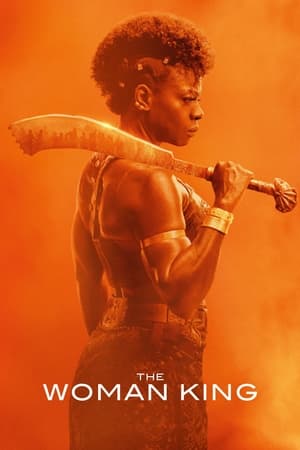 The Woman King 2022 Hindi (Cleaned) Dual Audio –